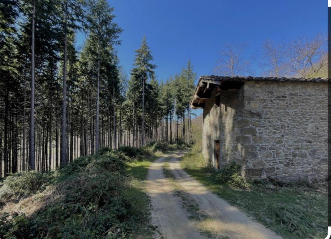 Villetta Mi Il Fabbro Exterior foto