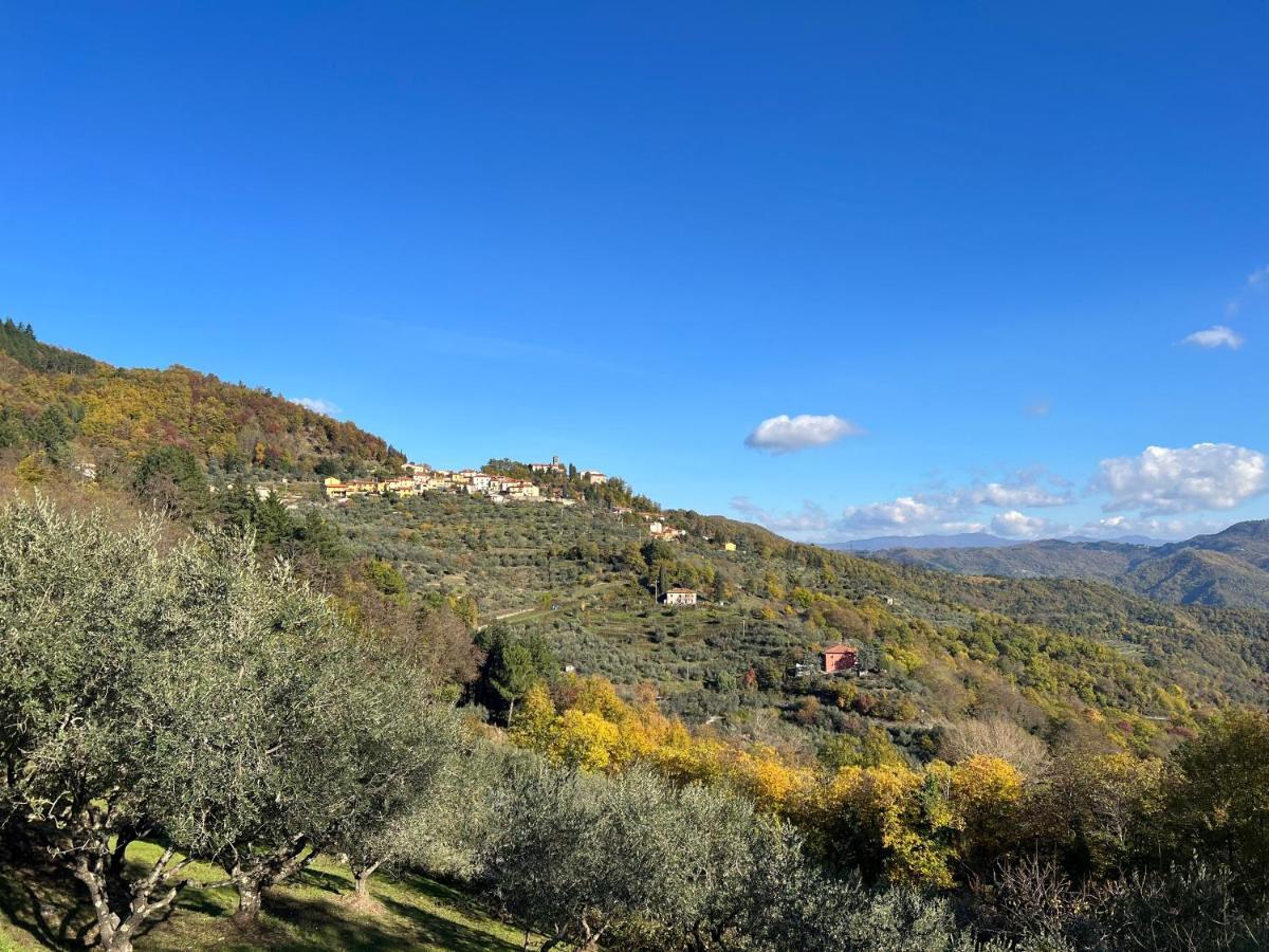 Villetta Mi Il Fabbro Exterior foto